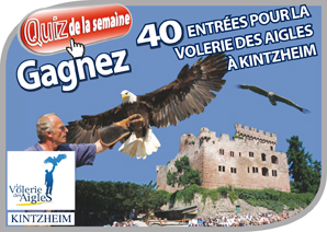 La volerie des aigles