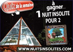 Nuits insolites