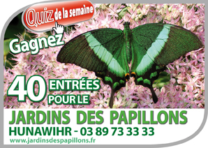 Jardins des papillons � Hunawihr