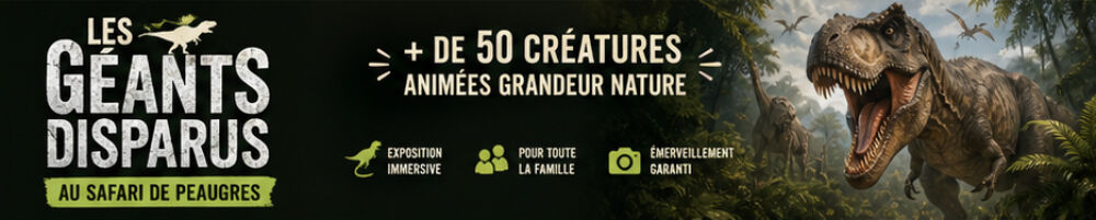 Publicité