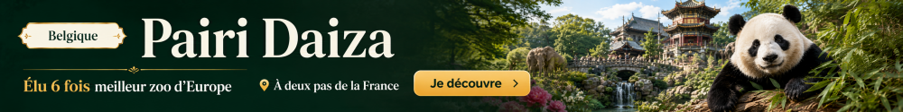 Publicité