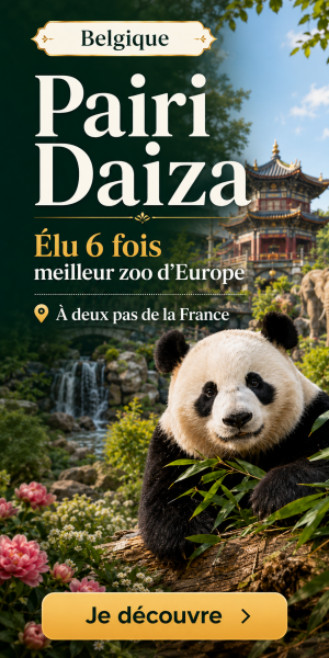 Publicité