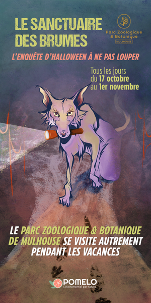 Publicité