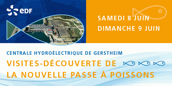 La Centrale Hydroélectrique de Gerstheim ouvre ses portes les 8 et 9 juin pour découvrir la nouvelle passe à poissons.