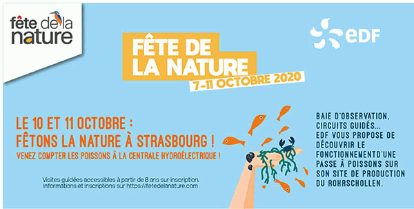 La Fête de la Nature du 7 au 11 octobre 2020. Des animations avec EDF vous attendent à la Centrale Hydroélectrique de Strasbourg, les 10 et 11 octobre 2020.